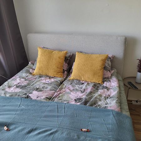 Central Studio - Easy Check-In, Free Parking & Wifi Rovaniemi Luaran gambar